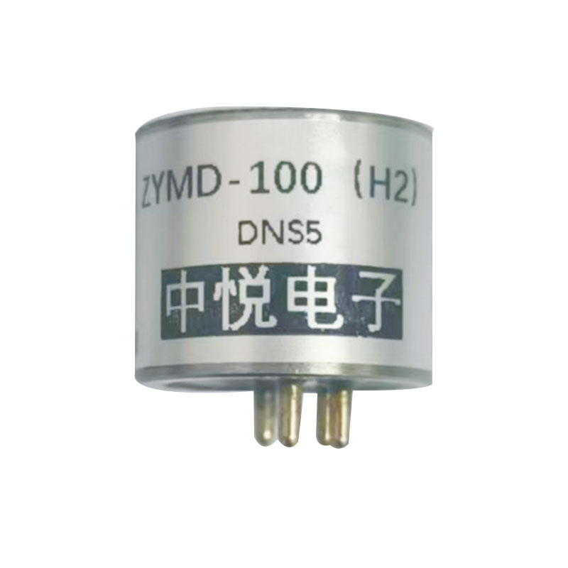 ZYMD-100 (H2)